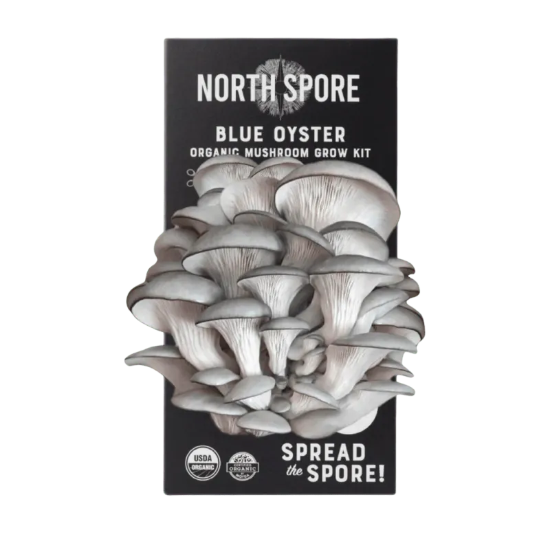 Organic Blue Oyster ‘Spray &amp; Grow’ Mushroom Growing Kit