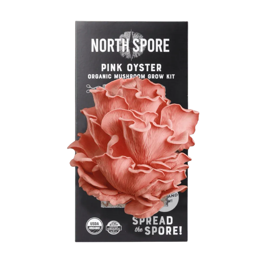 Organic Pink Oyster ‘Spray &amp; Grow’ Mushroom Growing Kit