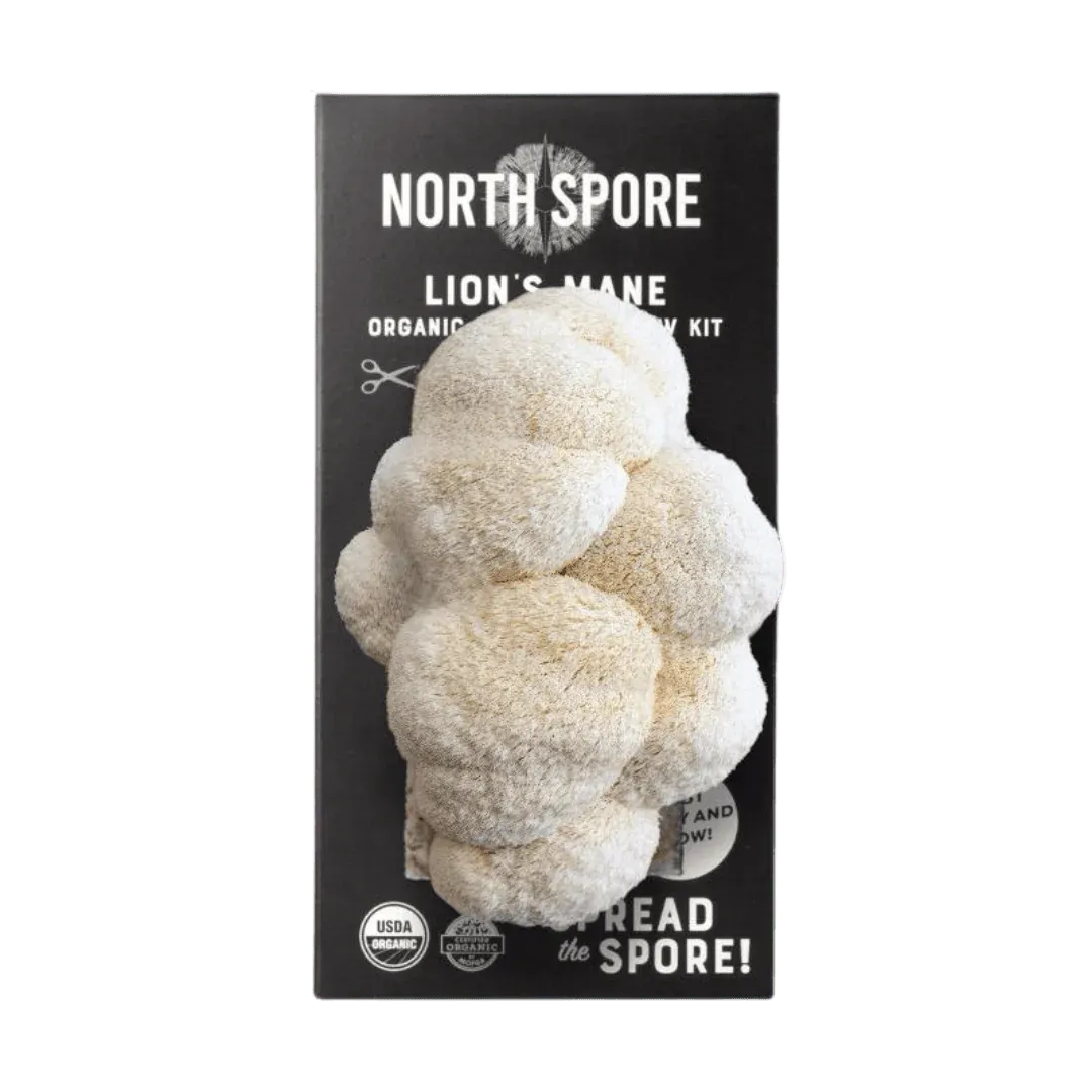 Organic Lion's Mane ‘Spray &amp; Grow’ Mushroom Growing Kit