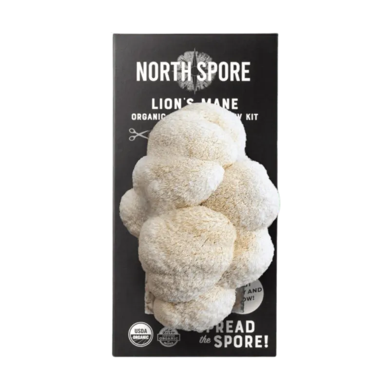 Organic Lion's Mane ‘Spray &amp; Grow’ Mushroom Growing Kit
