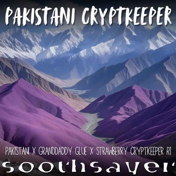 Soothsayer Seeds Pakistani Cryptkeeper - 8pk Feminized Photoperiod
