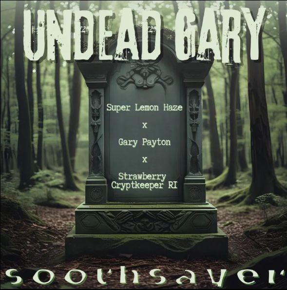 Soothsayer Seeds Undead Gary -  8pk Feminized Photoperiod