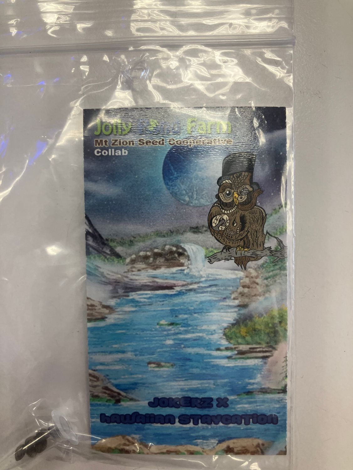 Jolly Pond Farm Jokerz x Hawaiian Staycation - 3 Feminized Photoperiod Seeds