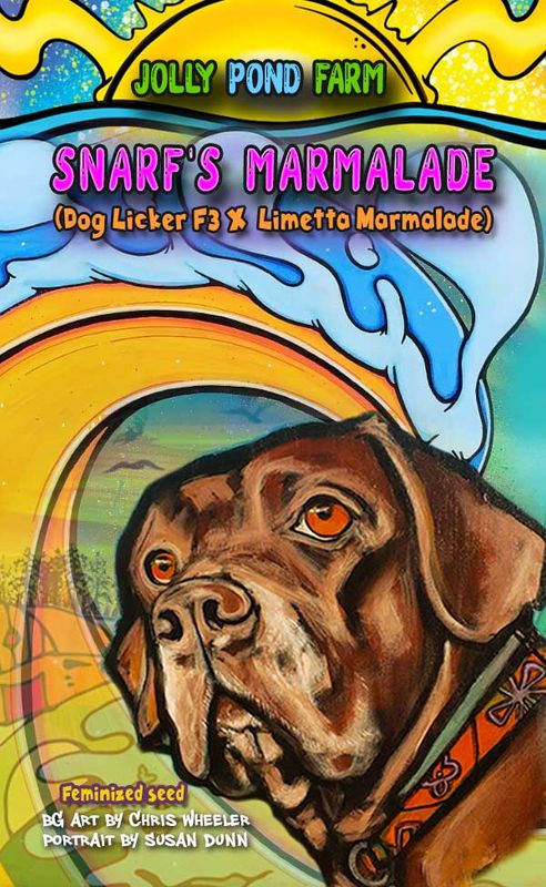 Jolly Pond Farm Snarf’s Marmalade (Dog Licker F3 x Limetta Marmalade) - 3 Feminized Photoperiod Seeds