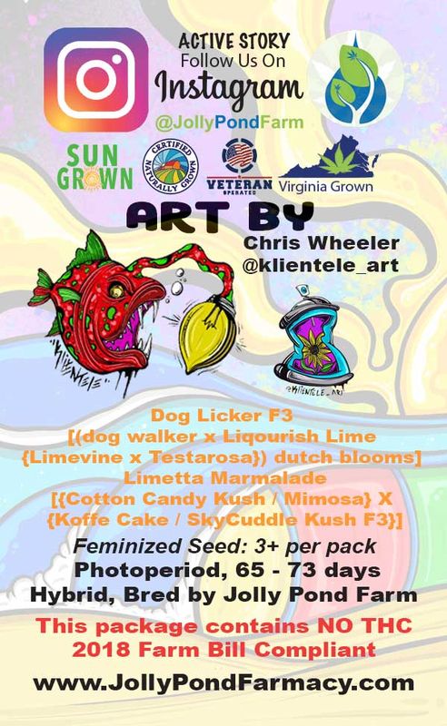 Jolly Pond Farm Snarf’s Marmalade (Dog Licker F3 x Limetta Marmalade) - 3 Feminized Photoperiod Seeds