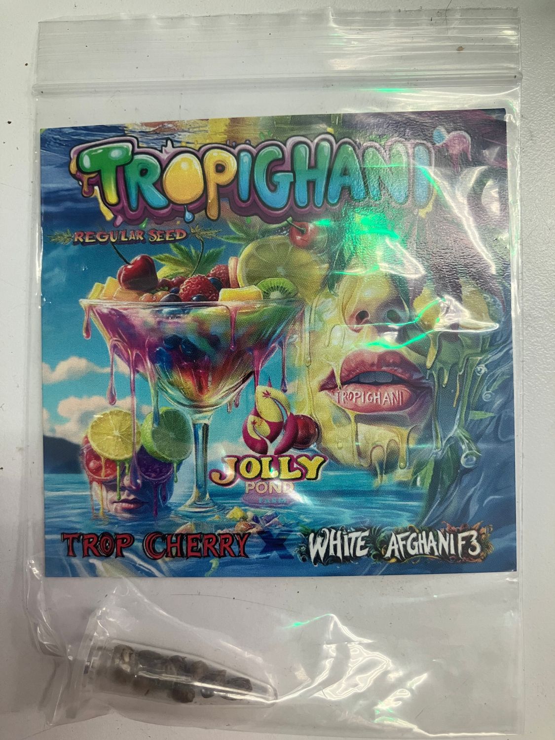 Jolly Pond Farm Tropighani F1 (Trop Cherry x White Afghani) - 12 Regular Seeds