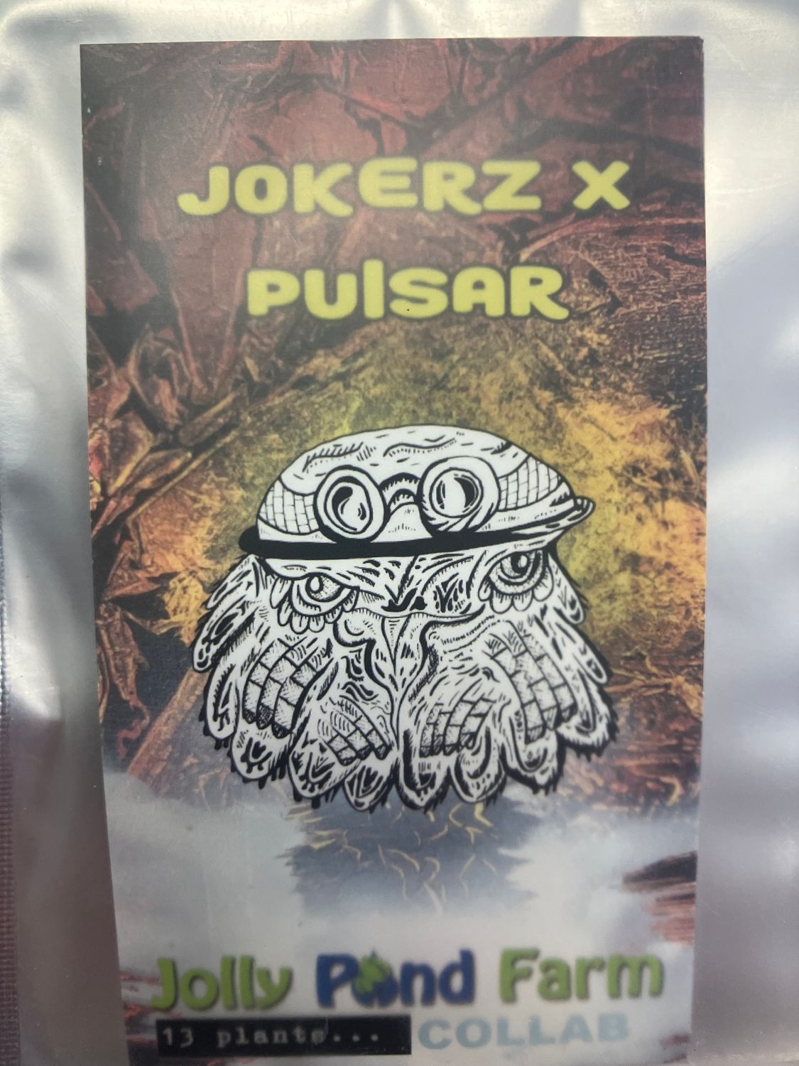 Jolly Pond Farm Jokerz x Pulsar - 3 Feminized Photoperiod Seeds