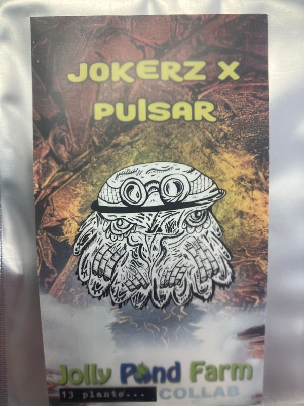 Jolly Pond Farm Jokerz x Pulsar - 3 Feminized Photoperiod Seeds