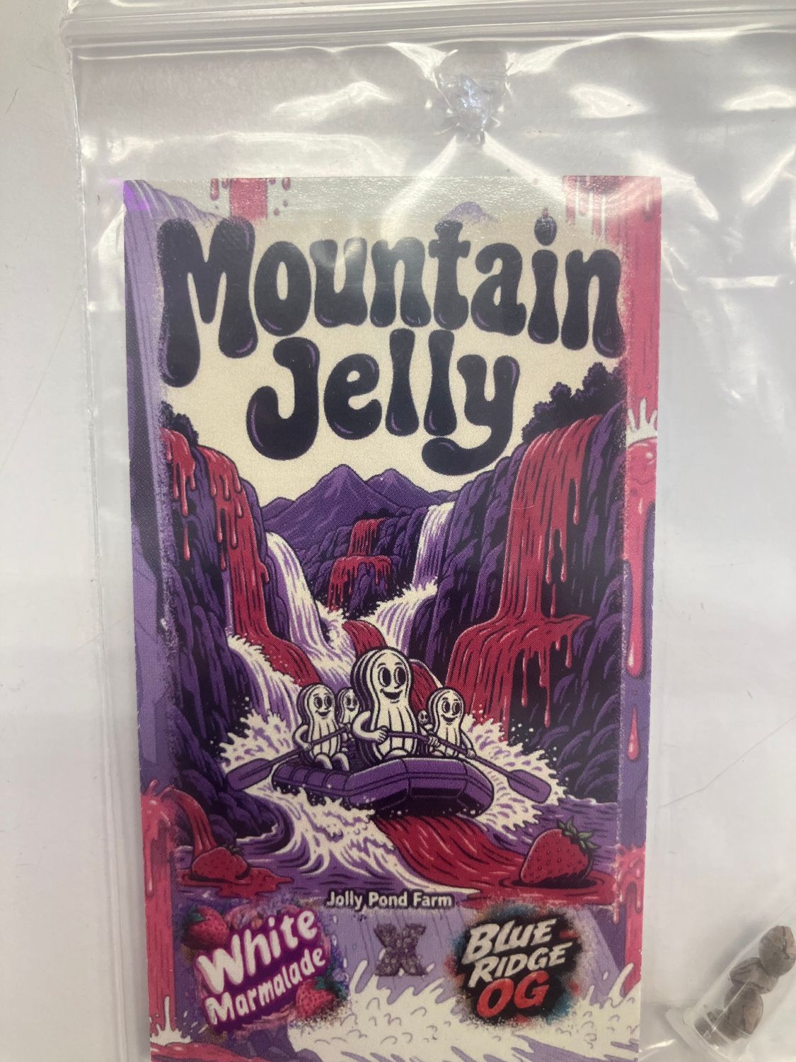 Jolly Pond Farm Mountain Jelly - 3 Feminized Photoperiod Seeds
