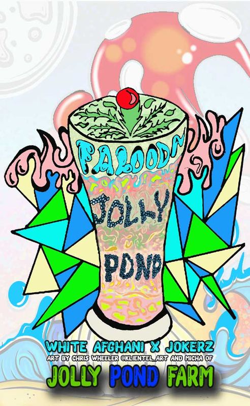Jolly Pond Farm Falooda (White Afghani x Jokerz) - 3 Feminized Photoperiod Seeds