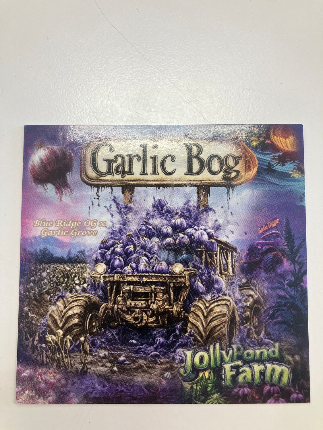 Jolly Pond Farm Garlic BOG V2 - 3 Feminized Photoperiod Seeds