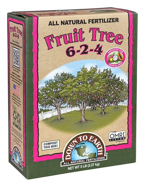 DTE Fruit Tree 6-2-4 5lb *OMRI*