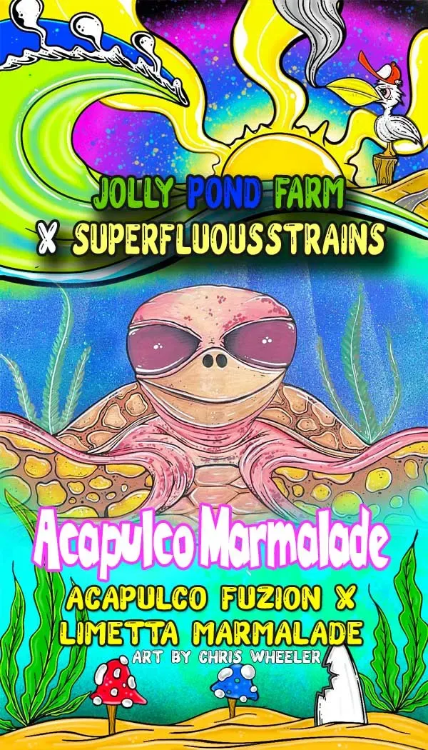 Jolly Pond Farm Acapulco Marmalade - 3 Feminized Photoperiod Seeds