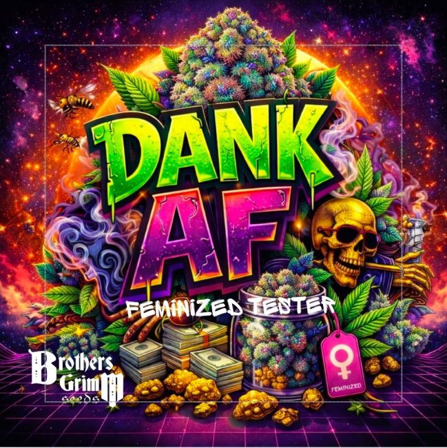 Brother's Grimm Dank AF  (F) - 9 pack Photoperiod