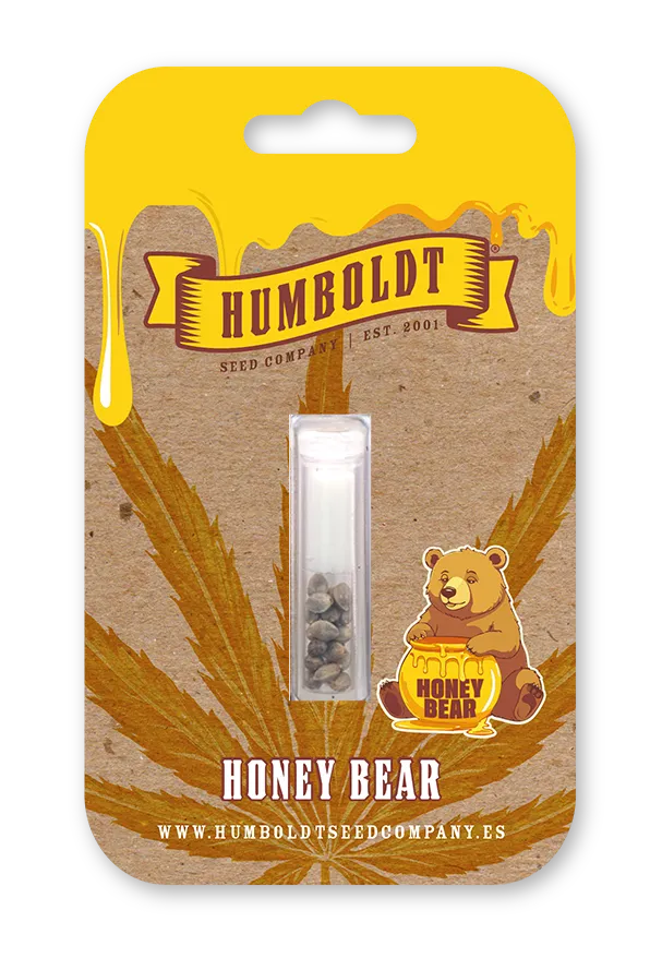 Humboldt Seed Company Honey Bear (F) 5 Pack