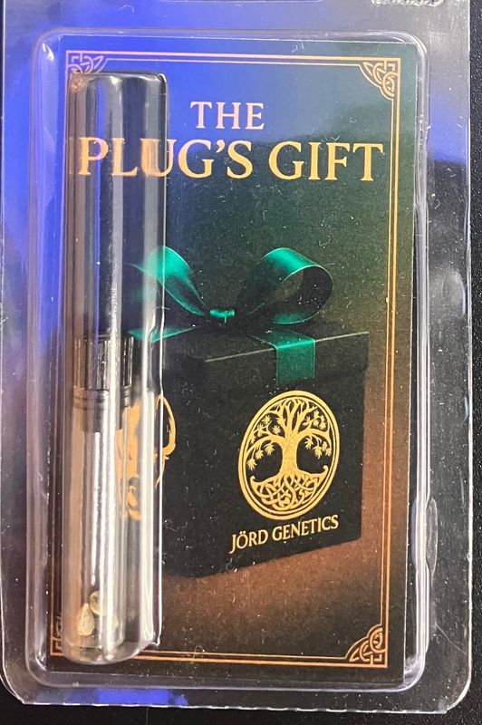 Jord Genetics - The Plug's Gift - Fem Photo - 3 Pack