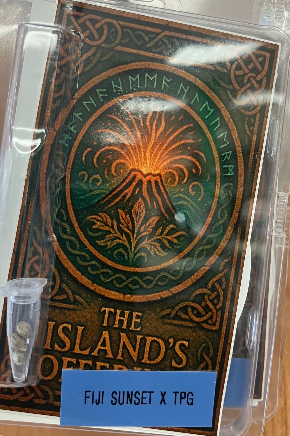 Jord Genetics - The Island's Offering - Fem Photo - 3 Pack
