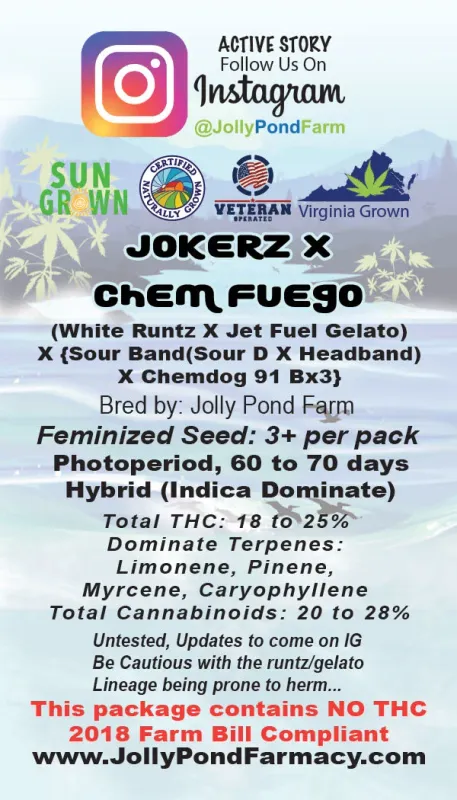 Jolly Pond Farm ChemFuego x Jokerz - 3 Feminized Photoperiod Seeds