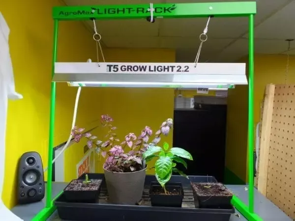 AgroMax 2 Foot Light Rack