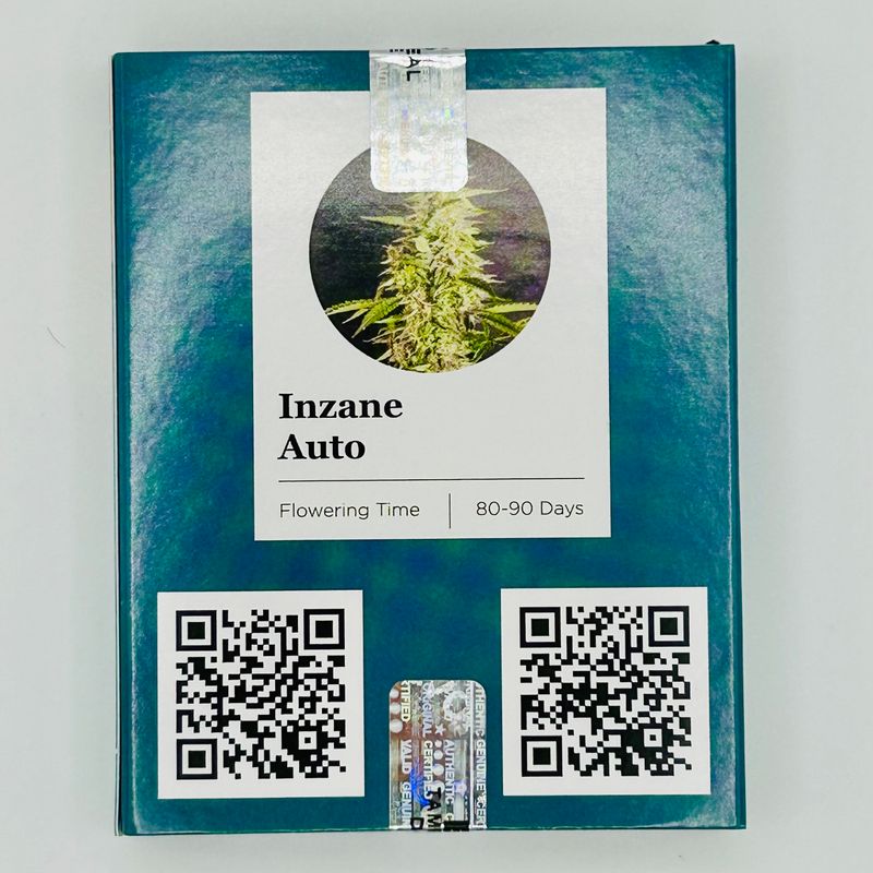INZANE AUTO 3 pack- INZANE AUTO x ZWEET AUTO