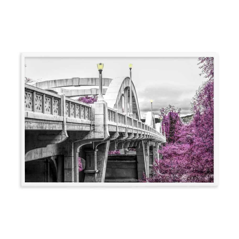 Caveman Bridge I Framed Photo Print