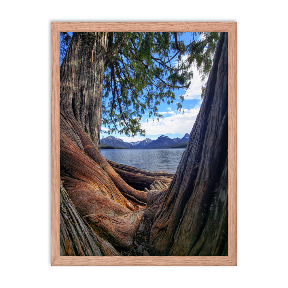 Lake McDonald
