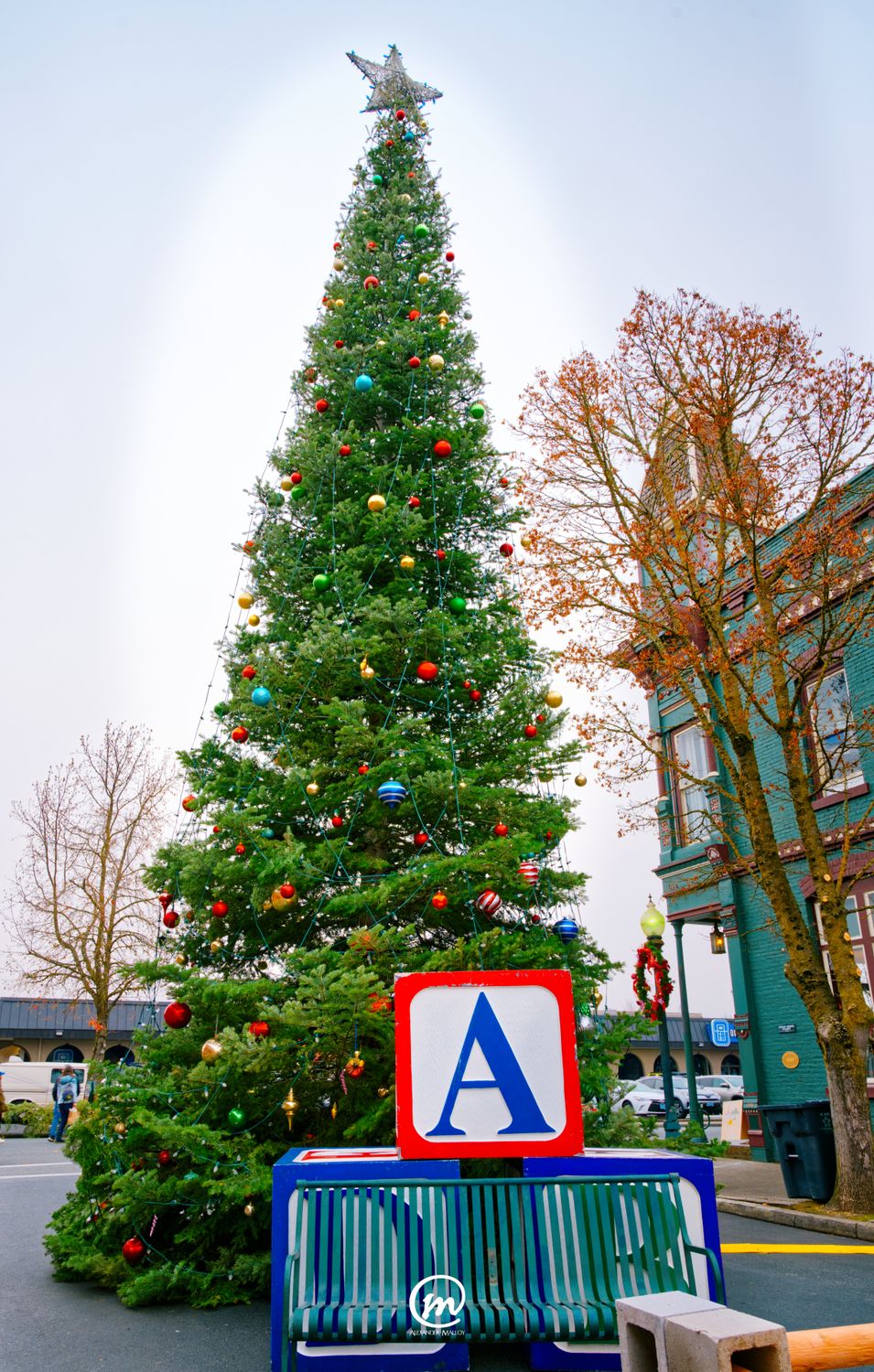 Pay What You Can Christmas Shoot GP 2024
