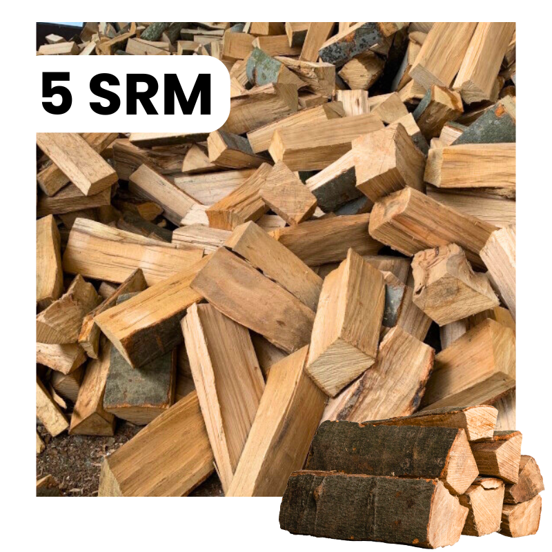 5 SRM Buchenbrennholz (25 cm) | lose Anlieferung