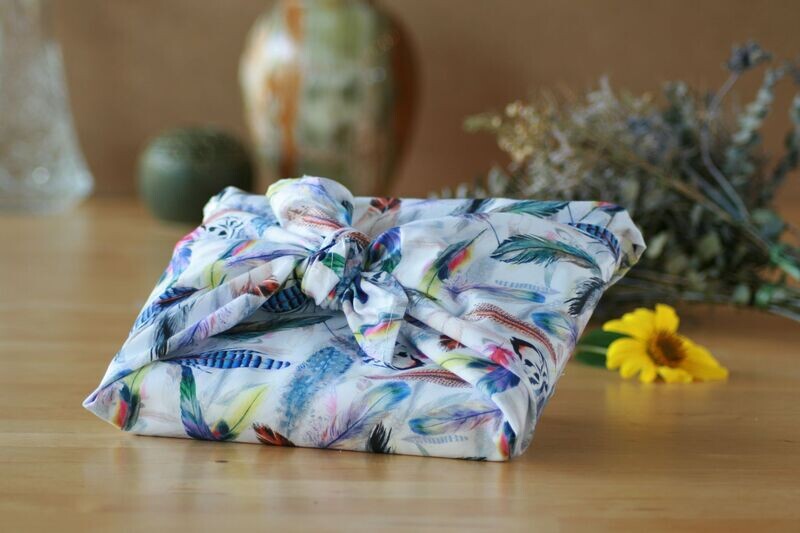 Set shickii Feder