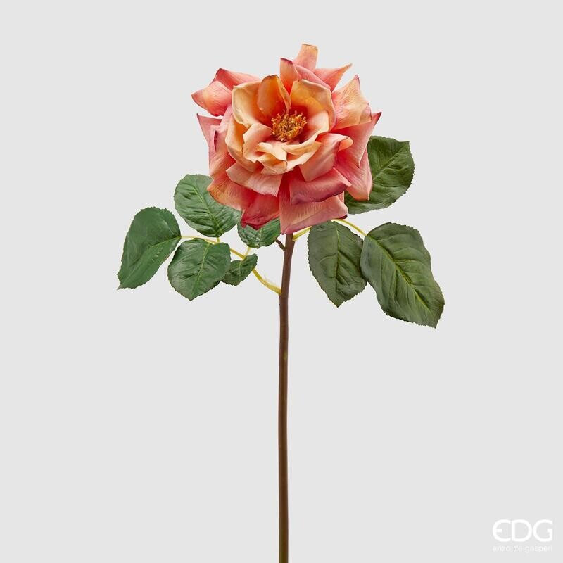Royal rose