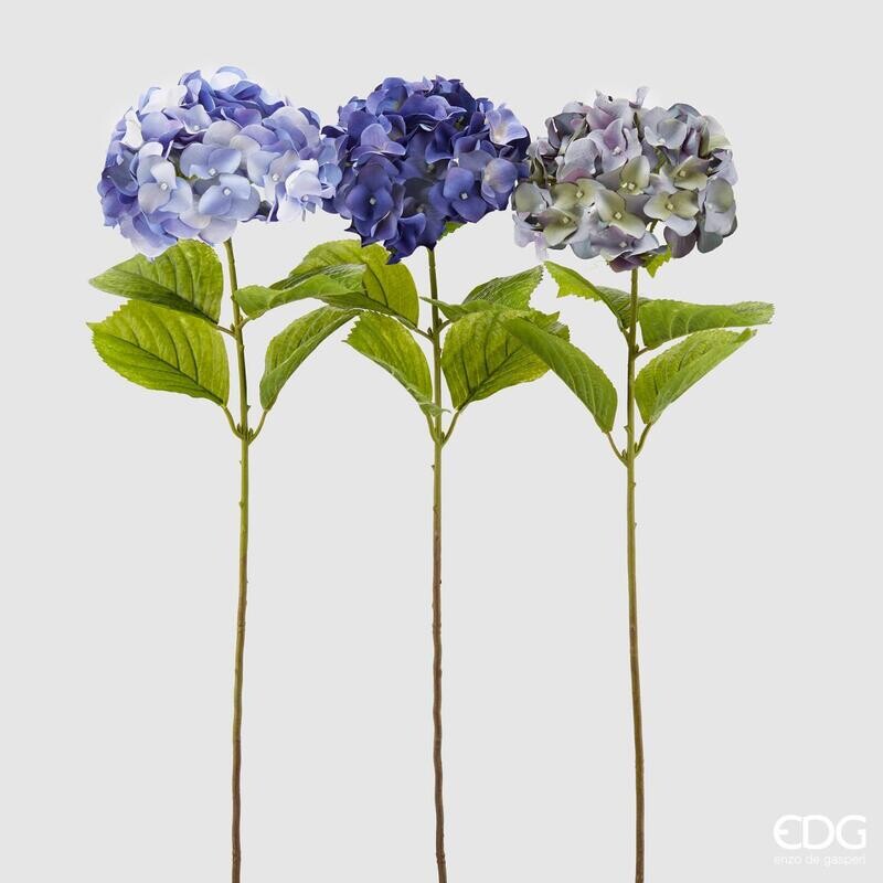 Hydrangea blue/purple