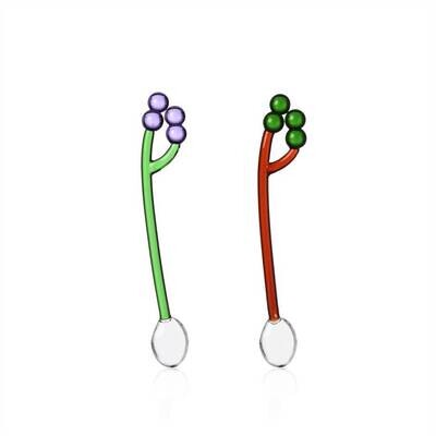Cuillères raisin - Set de 2