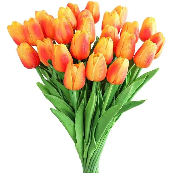 Tulipes Intemporelles (plusieurs couleurs) Tulipes Intemporelles (plusieurs couleurs)