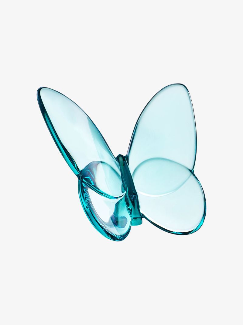 Papillon porte-bonheur turquoise
