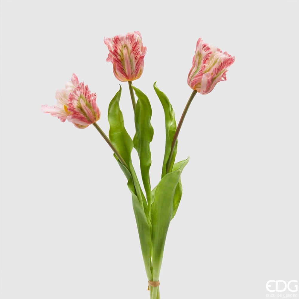 Tulips parrot
