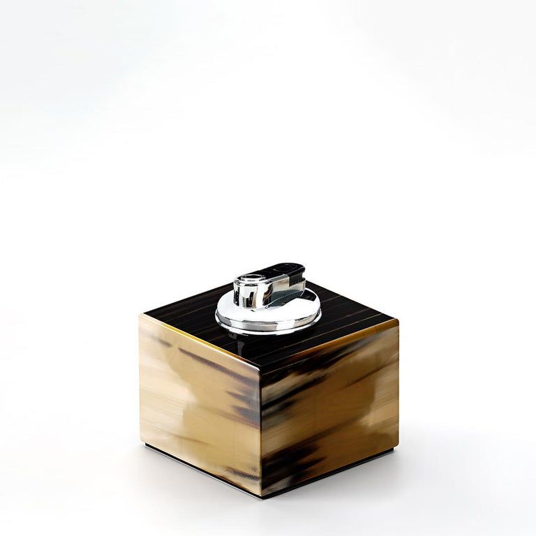 Box in horn