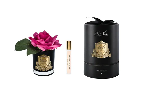 French Rose Black - Magenta