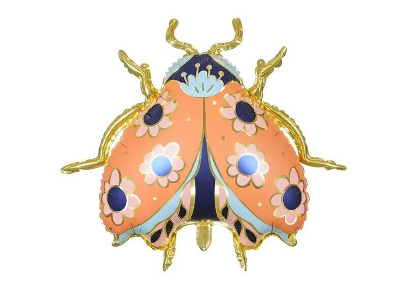 LADYBUG