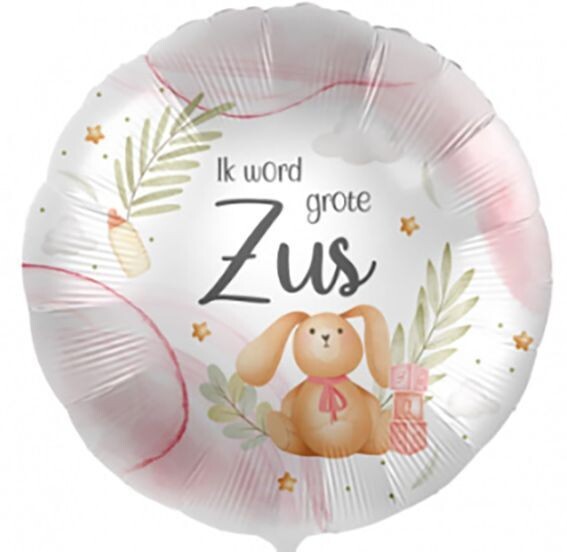 Ik word grote zus