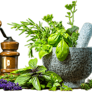 Buy Wild Oil of Oregano (1oz Bottle)