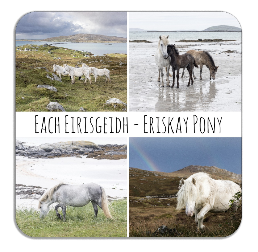 Eriskay Pony 4 Images Coaster