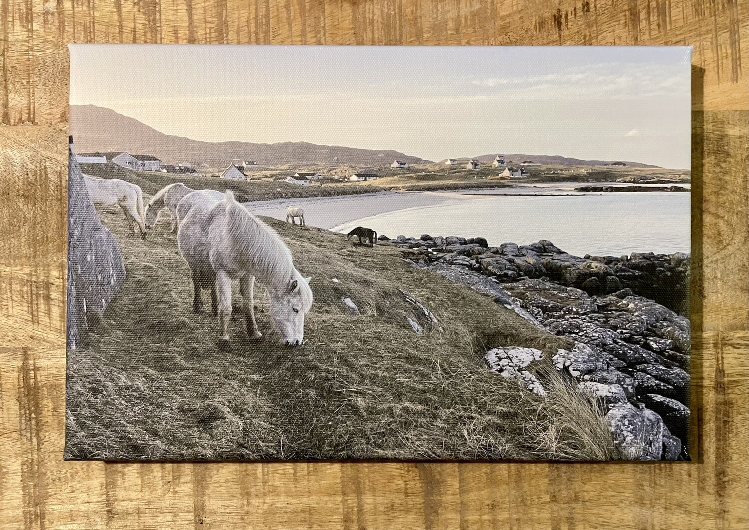 Eriskay Ponies - Canvas 30x20 cm