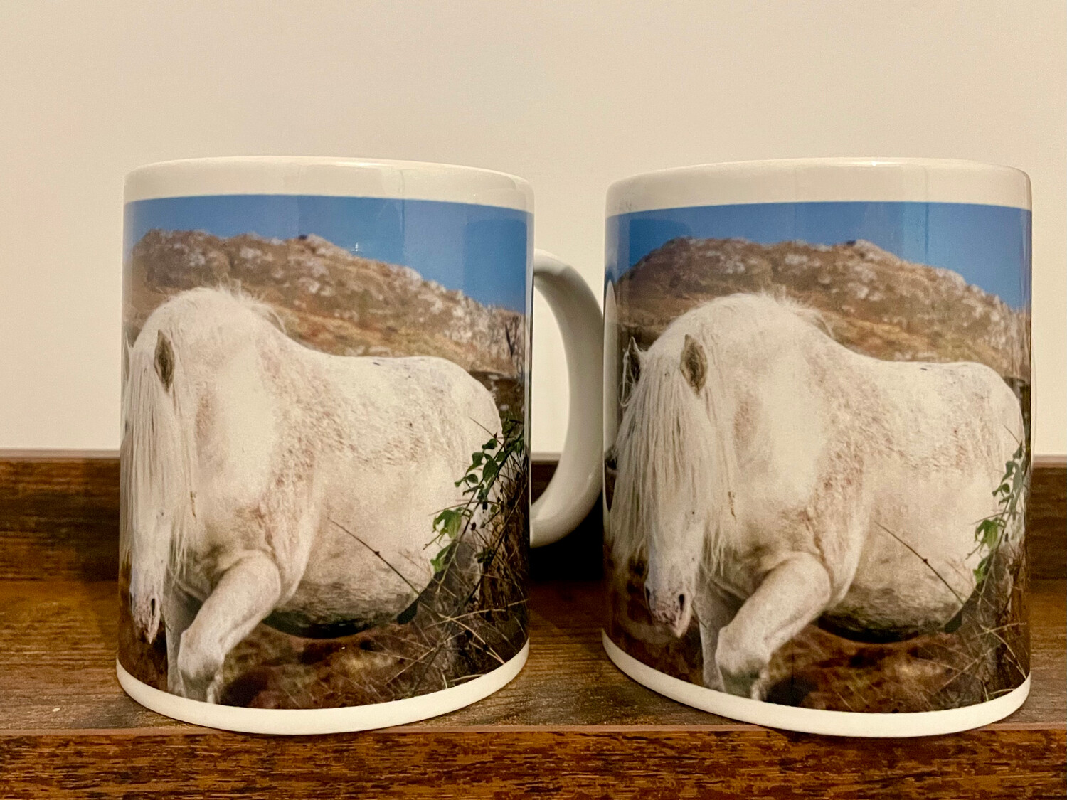 Eriskay Pony Stallion & Rainbow - Mug