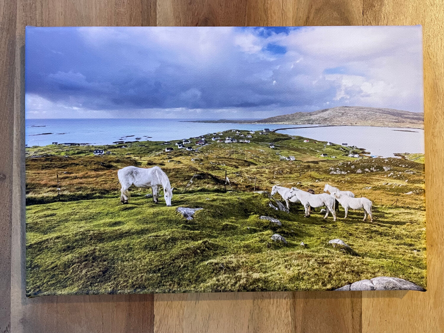 Eriskay Ponies Overlooking The Isle of Eriskay - Canvas 30x20 cm