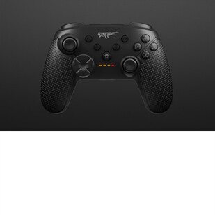 RinFire Somatosensory Controller