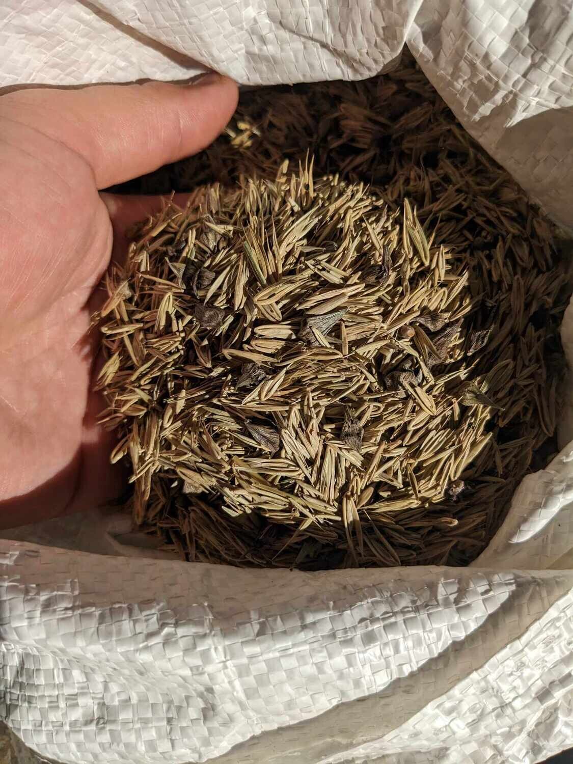 Maryland Woodland Mix Native Seed Bomb DIY KIT