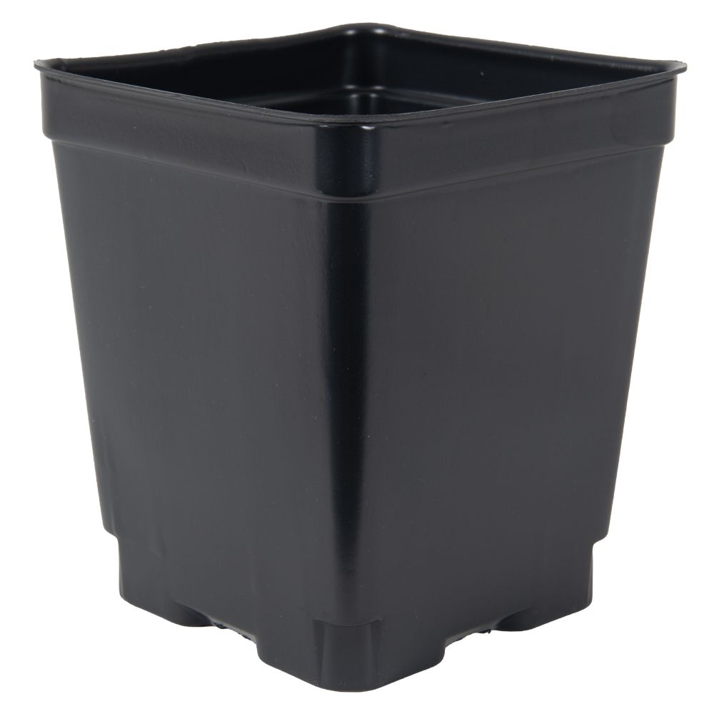 Quart Size Plant Material - ANY PLANT
