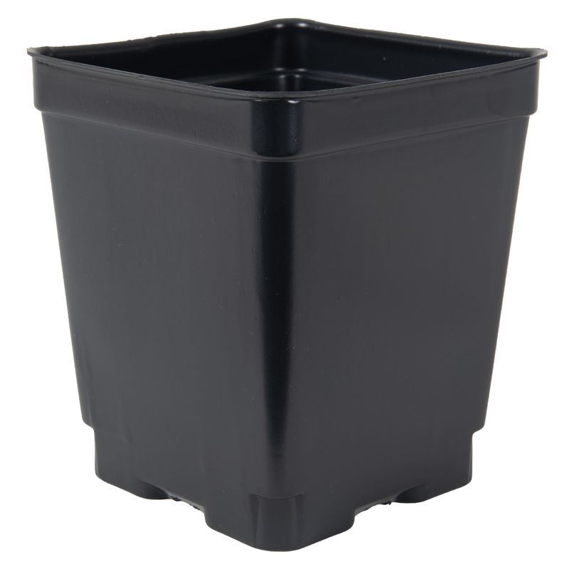 Quart Size Plant Material - ANY PLANT