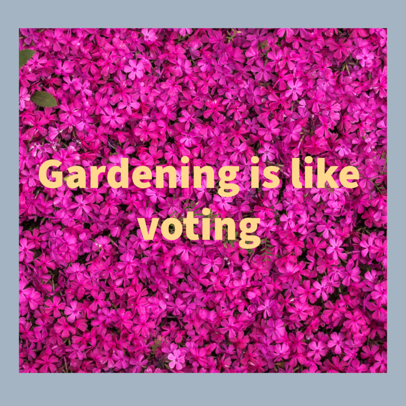 Gardening is Like Voting