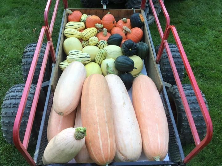 The joys of fall gardening